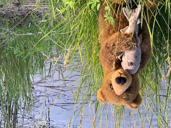eb in nebraska june 2019